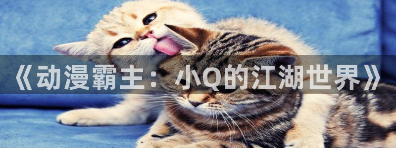 美妙天堂动漫动漫