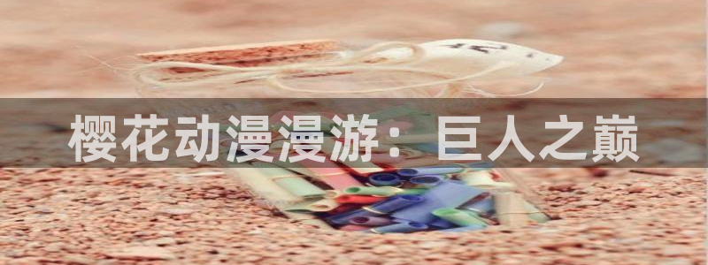 动漫天堂软件怎么下载安装手机版