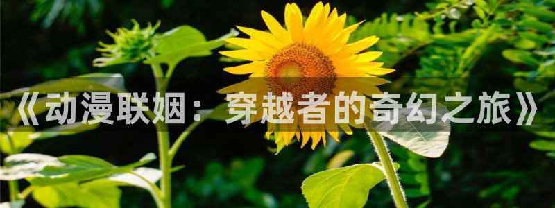 天堂动漫网手机版网址