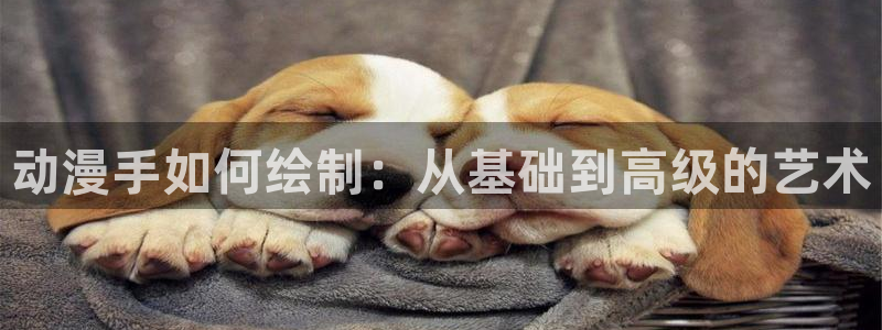 亚洲动漫天堂网1区：动漫手如何绘制：从基础到高级的艺术