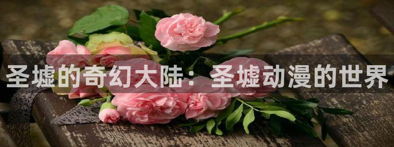 动漫天堂下载官方：圣墟的奇幻大陆：圣墟动漫的世界